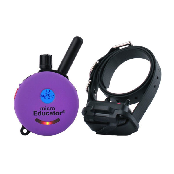 Micro Educator 1 Dog
