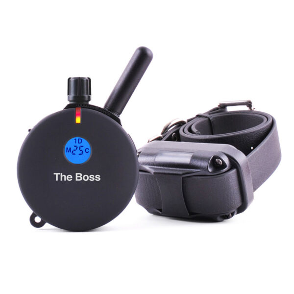 Boss E Collar 1 dog