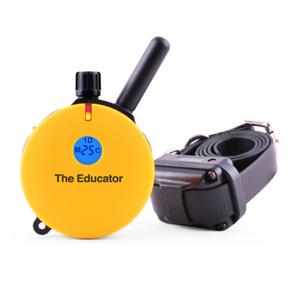 Educator one dog