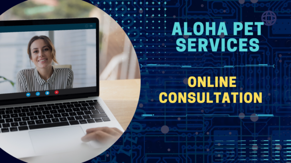 Online Consultation