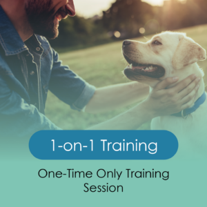 1-on-1 Single Training Session