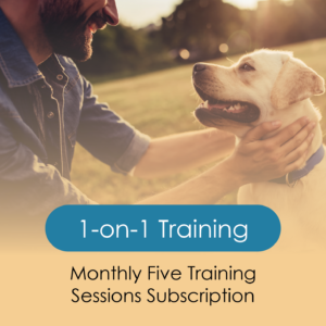1-on-1 Monthly Five Training Sessions Subscription