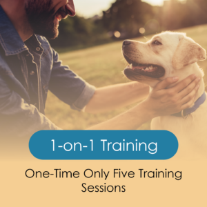 1-on-1 Five Training Sessions