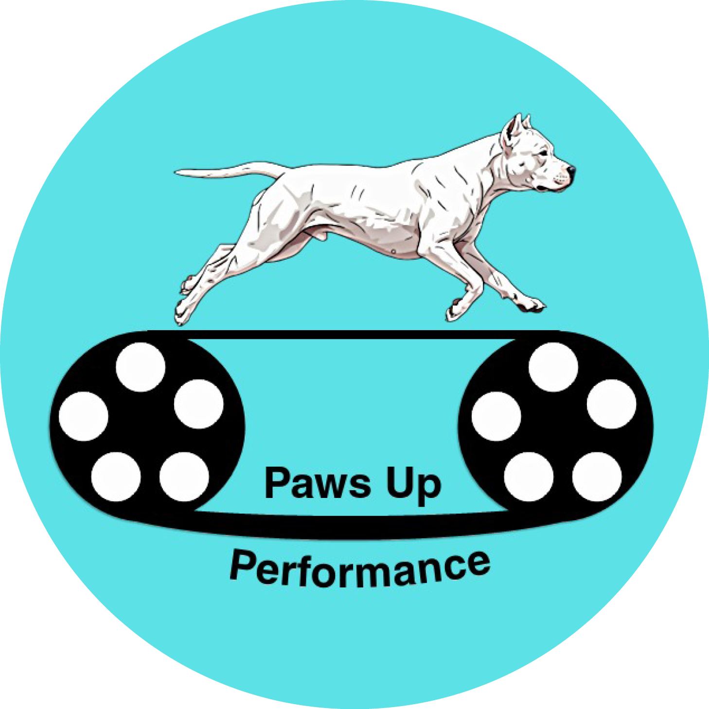 Paws Up Performance