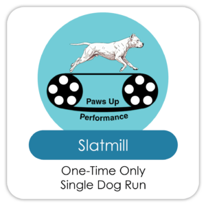 Single Run