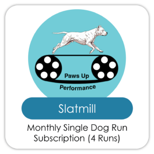 Single Run Subscription (4 Runs)