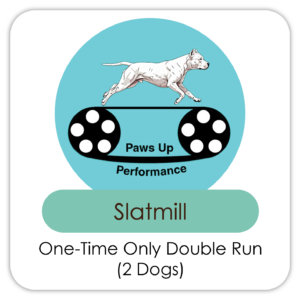 Double Run (Two Dogs)