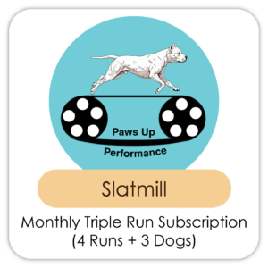 Triple Run (Three Dogs) Subscription (4 Runs)