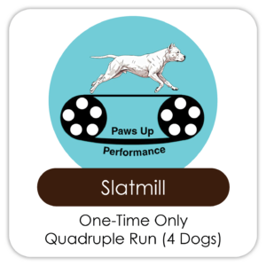 Quadruple Run (Four Dogs)
