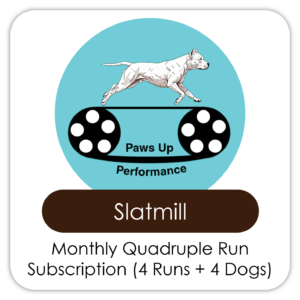 Quadruple Run (Four Dogs) Subscription (4 Runs)
