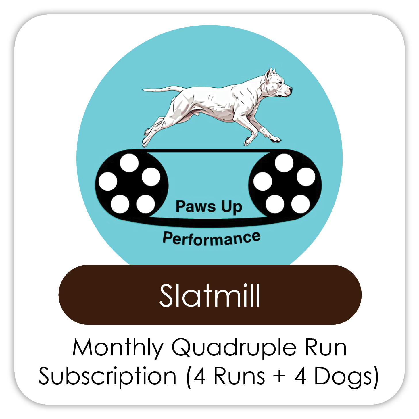 Quadruple Run (Four Dogs) Subscription (4 Runs)
