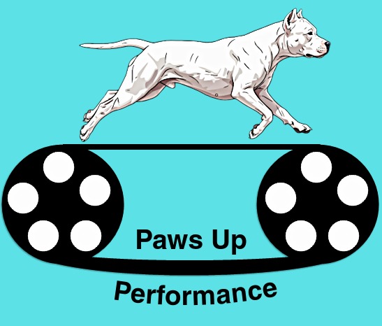 Paws Up Performance